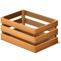 Image icon