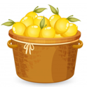 Image icon