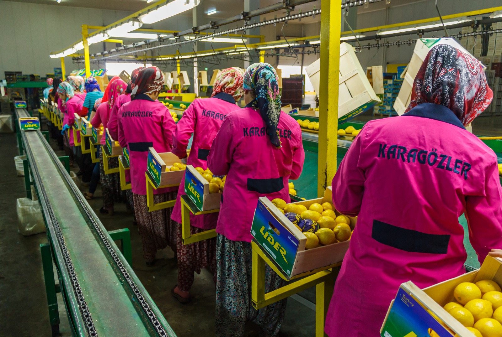 Karagözler Gıda Fabrika Lemon Factory