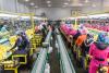 Karagözler Gıda Fabrika Lemon Factory